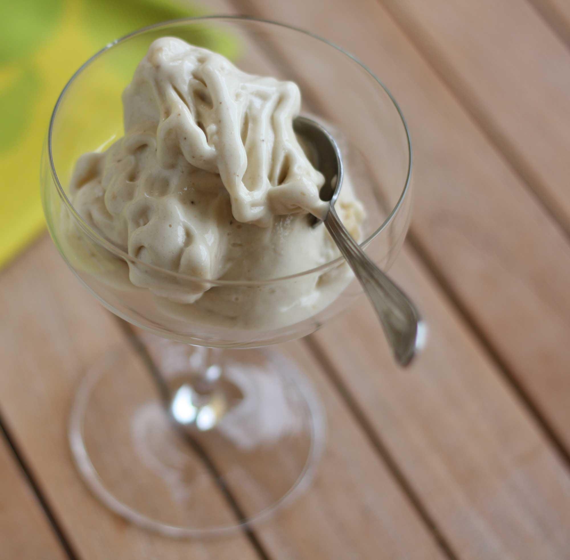 Erin Elizabeth And Dr Mercola s Raw Ice Cream